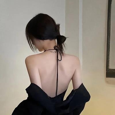 春花秋月未了情